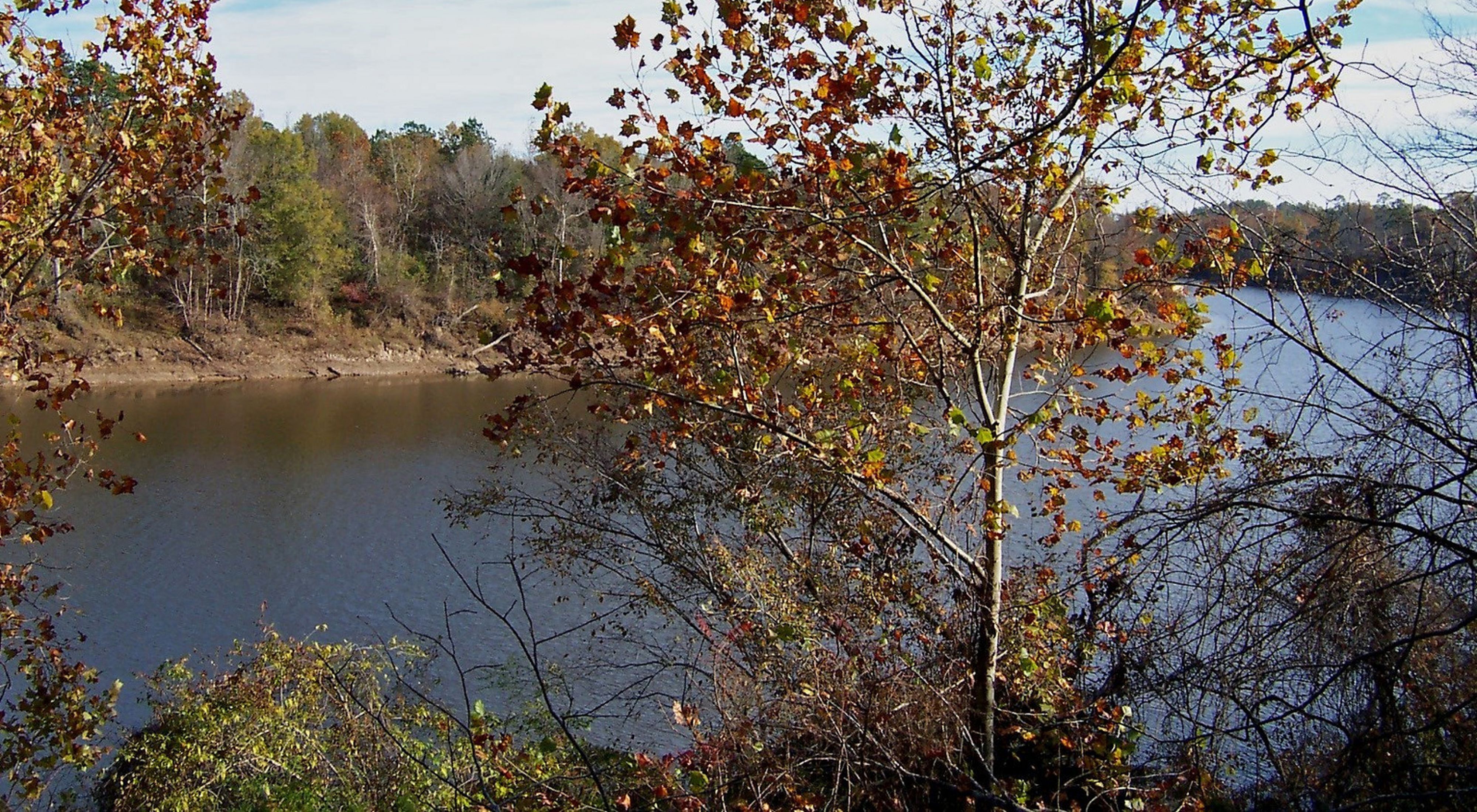 (ALL RIGHTS) The Ouachita River bordering the 440 acre International Paper property within the Copenhagen Prairies and Hills Conservation Area, Upper West Gulf Coastal Plain, Caldwell Parish, (Temperate Coniferous Forest) Louisiana. Photo credit ©Rick Jacob/TNC