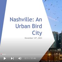 A powerpoint slide includes an image of birds flying around tall buildings.
