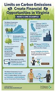 "Limits on Carbon Emissions Create Financial Opportunities in Virginia", illustrated infographic showing an example of how healthy, diverse forests can be used to create income earning carbon offsets.
