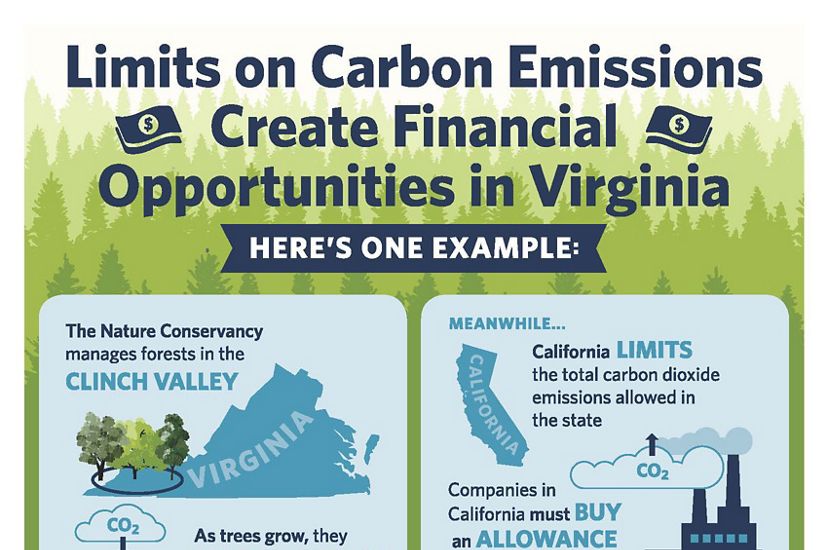 "Limits on Carbon Emissions Create Financial Opportunities in Virginia", illustrated infographic showing an example of how healthy, diverse forests can be used to create income earning carbon offsets.