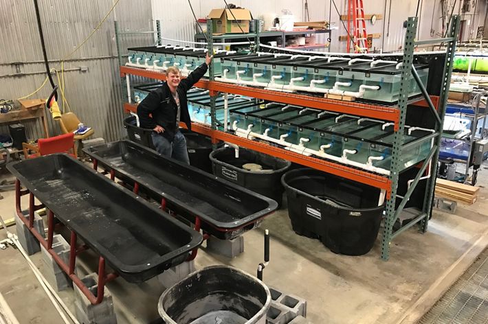 A man stands in a mollusk hatchery facility. The large, industrial space contains a heavy metal rack that is laden with tanks containing juvenile freshwater mussels.