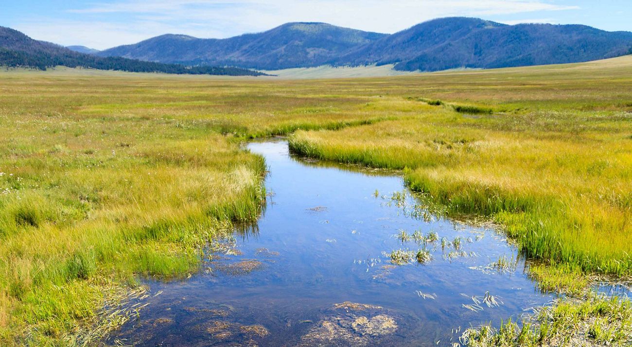 Wetlands at Valles Caldera