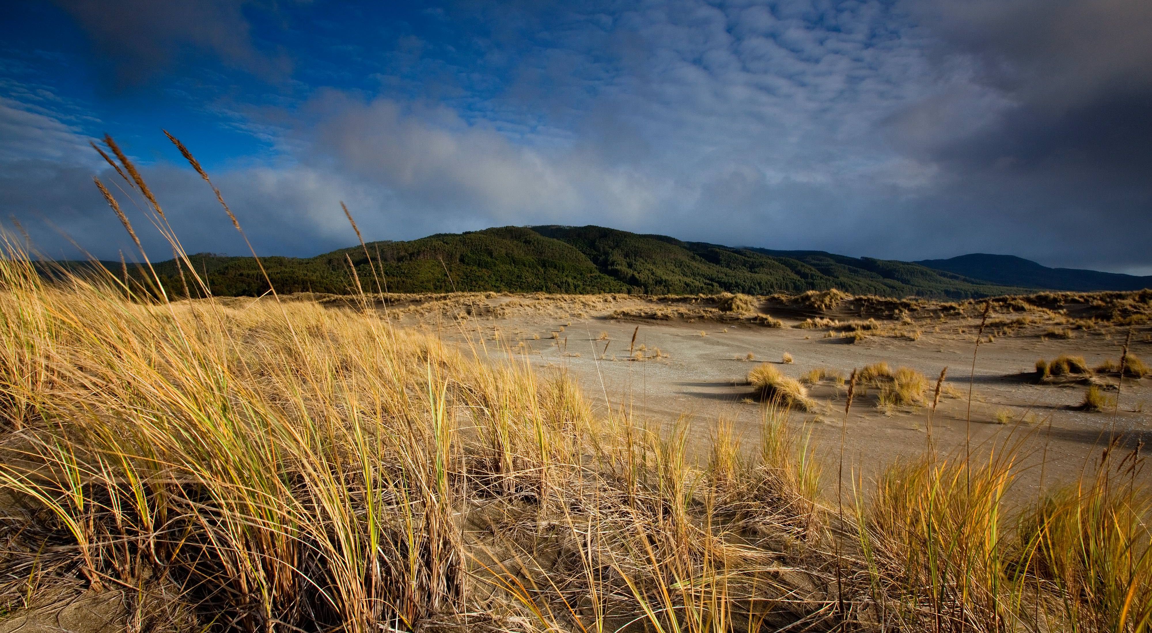 aldivia Coastal Reserve, Chile: Scenic landscapes along the reserve. 