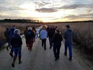 A ground of people walk along a trail as the sun sets behind a line of trees along the horizon.