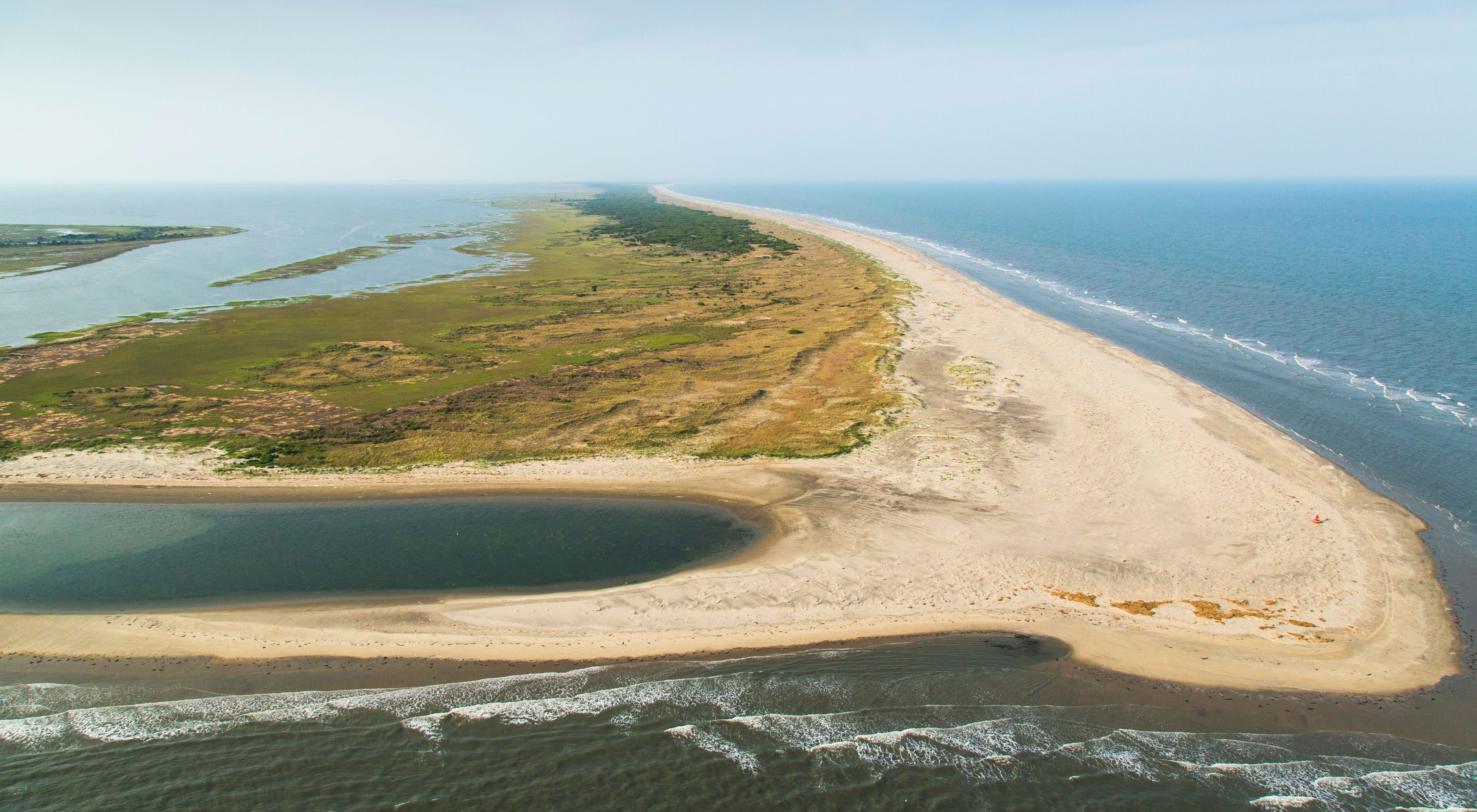 Aerial view of Hog Island, Virginia. The Atlantic Ocean laps against a wide stretch of sand. The back of the island is covered in low scrub and a stand of coastal forest.