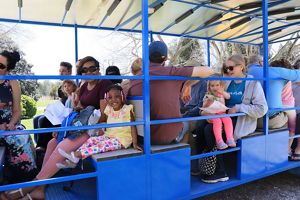 Families seated in a large open sided wagon for a tour of Brownsville Preserve.