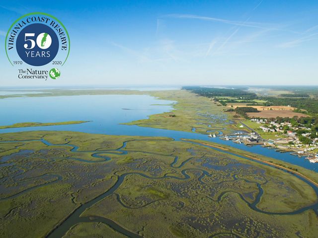 Aerial view of Watchapreague, VA. Meandering channels through coastal marsh, leading to a wider body of water, and a small coastal village.