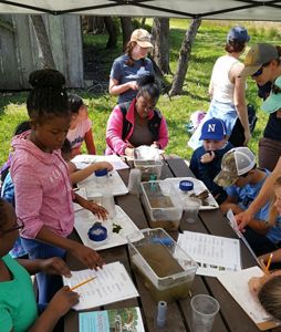 A group of kids sit around a picnic table working on a science project.