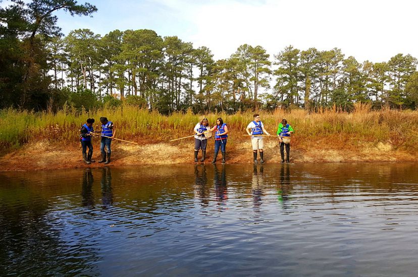 Six children standing in groups of two use dip nets to explore a tidal creek. The surface of the creek is gently rippled. Tall pine trees line the horizon in the background.
