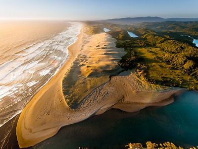 in the Valdivian Coastal Reserve, Los Rios, Chile.