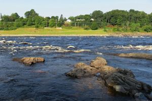 The Penobscot River flows over rapids with greenspace on the far shore.