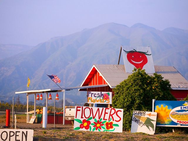 A farm stand in Ventura County, with brightly painted signs advertising their products, such as flowers.