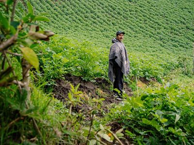 A farmer stands among his green field of crops