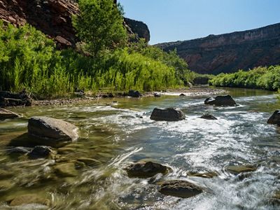 The Virgin River flowing through a canyon.