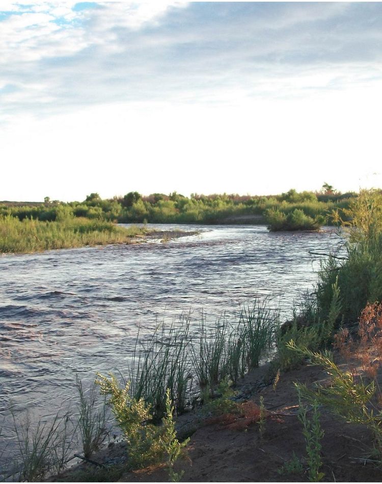 The Virgin River