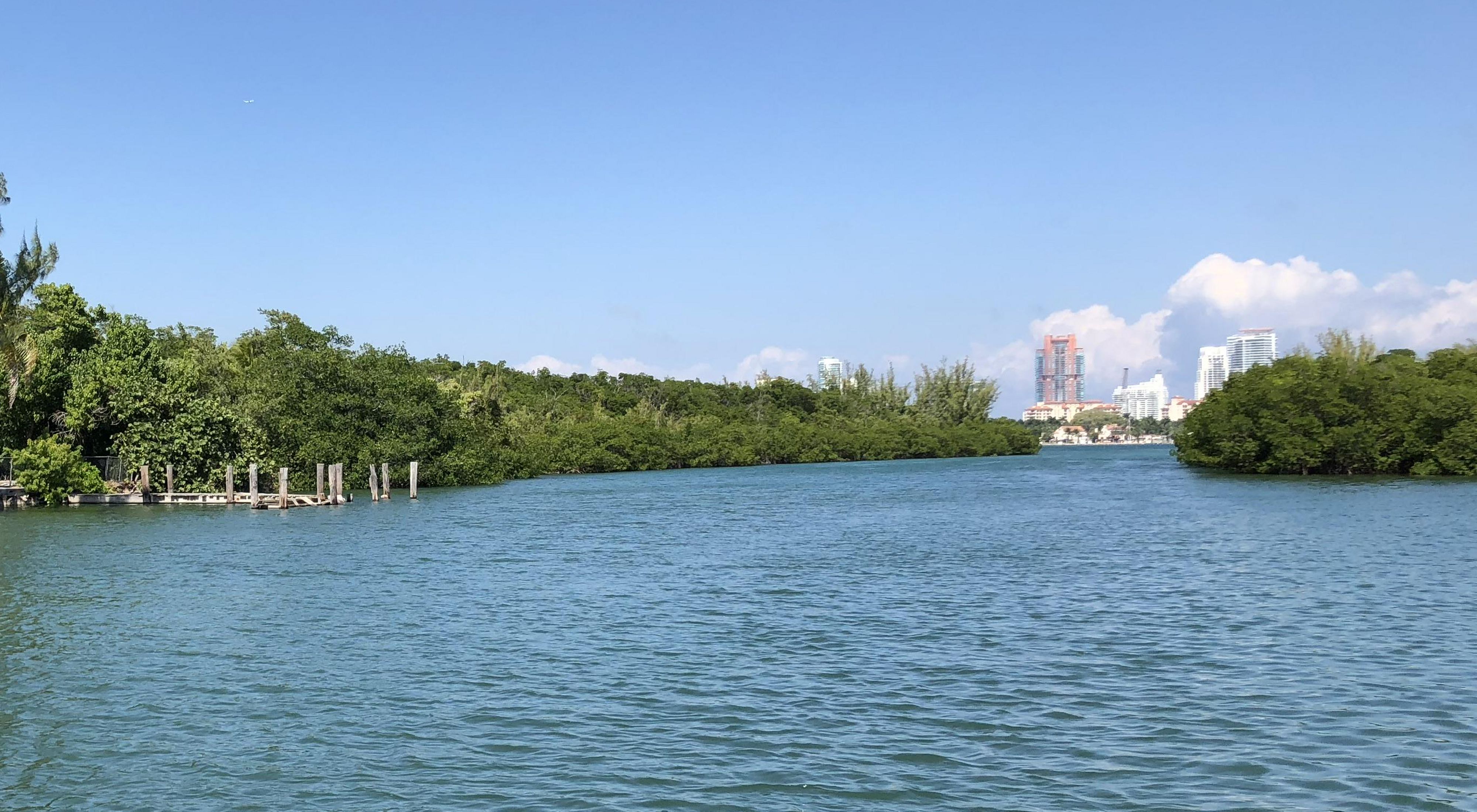 Shoreline of Virginia Key Beach with the Miami skyline in the distance. 