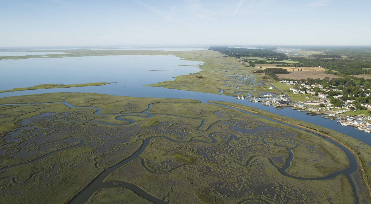 Estuaries and creeks in the Volgenau Virginia Coast Reserve