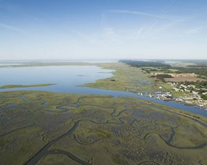 Estuaries and creeks in the Volgenau Virginia Coast Reserve near Wachapreague, Virginia