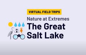 A preview graphic of the Great Salt Lake virtual field trip.