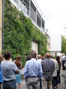 Visitantes observan la pared climática silvestre en Stuttgart.