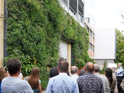 Visitantes observan la pared climática silvestre en Stuttgart.