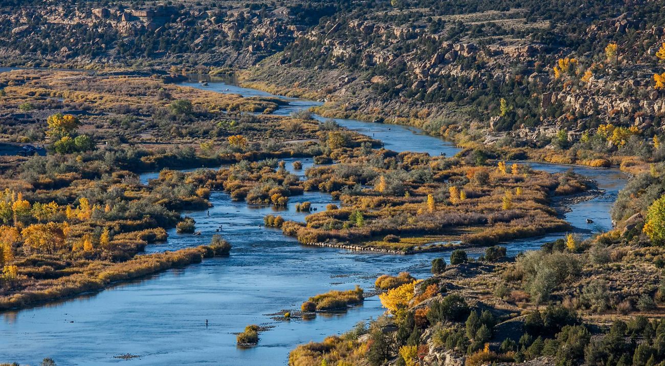 Aerial view of meandering stream channels and islands.