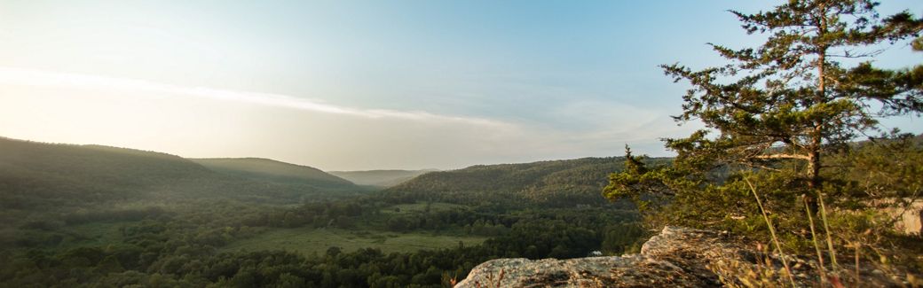 View of rolling, wooded countryside from atop a rocky outcropping from which a lone tree grows. Sunlight illuminates the landscape in the distance.