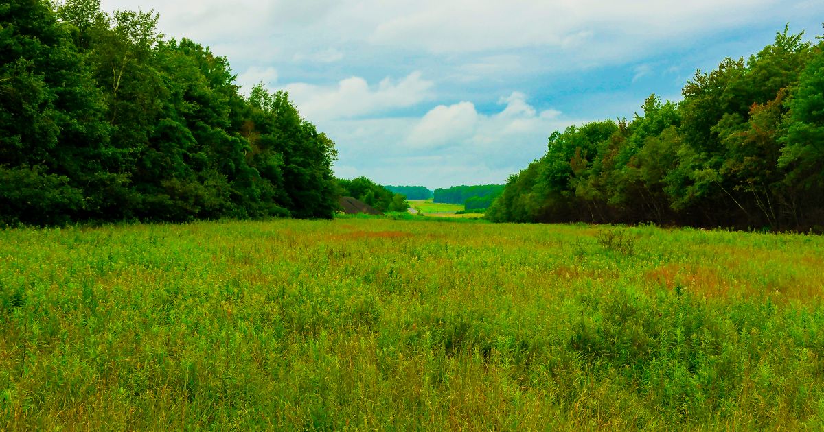 Long Pond