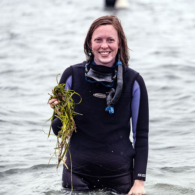 A smiling woman wearing a wetsuit stands in thigh deep water holding a bundle of long eelgrass shoots.