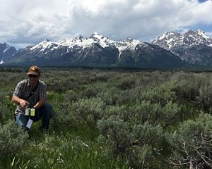 Person kneeling in a sea of sagebrush with snow covered mountains behind them.