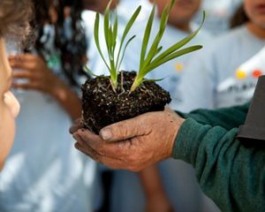A seedling is held by a person's hands who is showing it to the group of children around them.