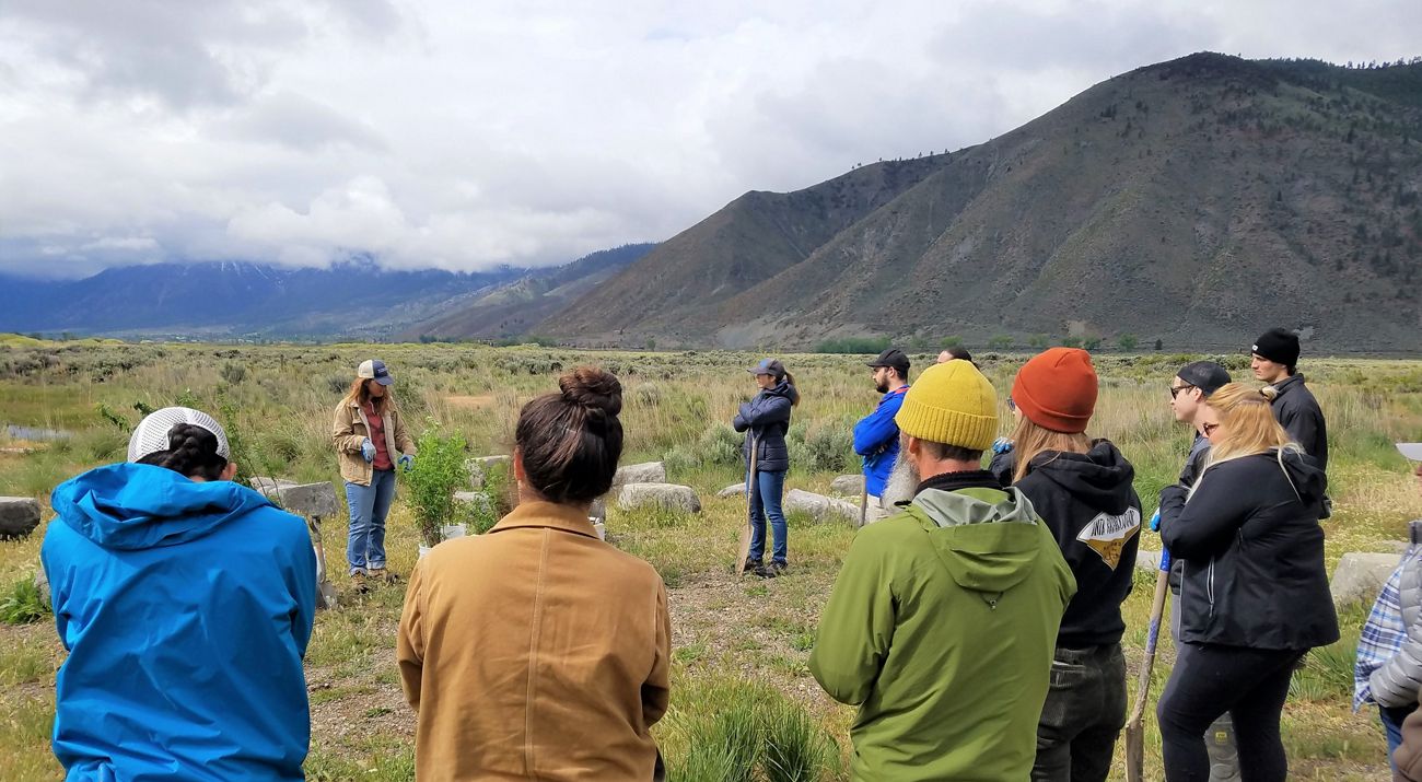 A group of volunteers working in a field with tall mountains in the background.