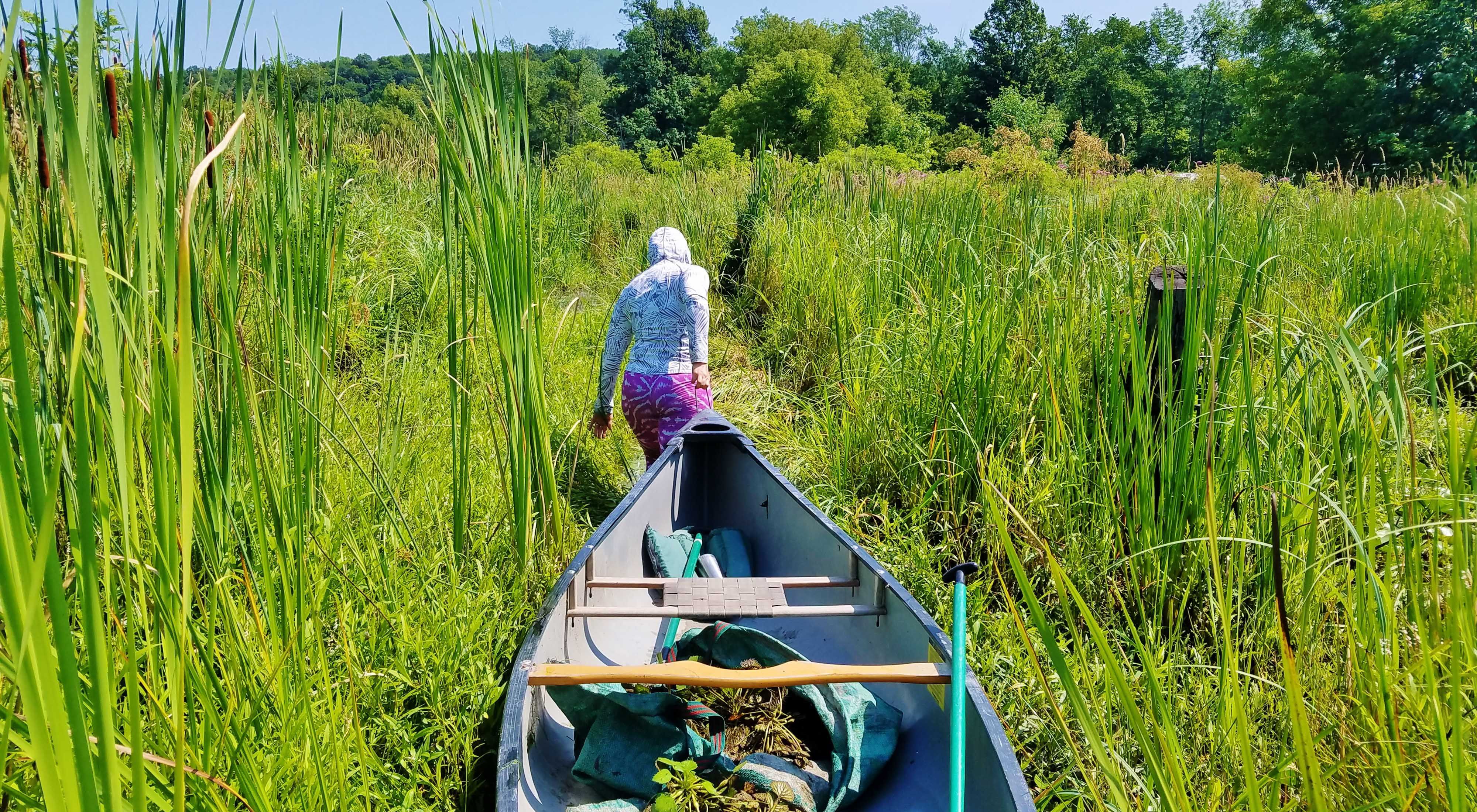 Woman carries a canoe through tall green grass.