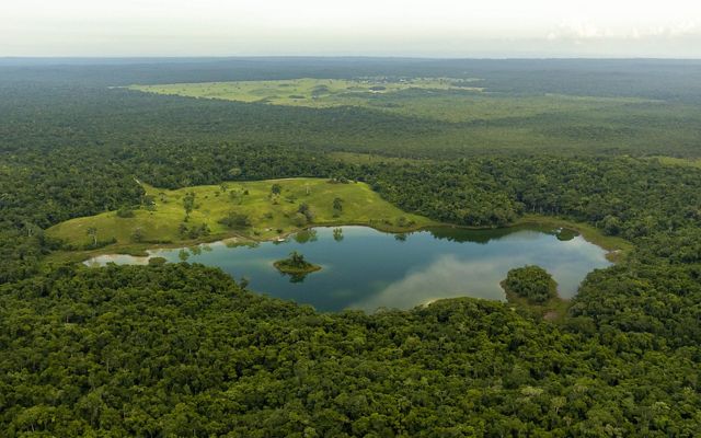 An aerial view of a lake surrounded by lush green forest in Belize Maya Forest.