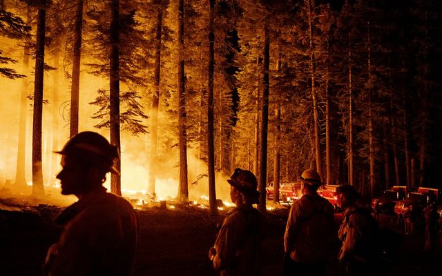 Cal Fire inmate firefighters and regular engine crews at the Dixie Fire near Butte Meadows, California.
