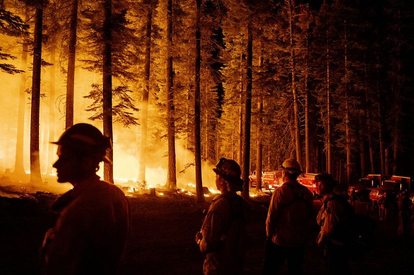 Cal Fire inmate firefighters and regular engine crews at the Dixie Fire near Butte Meadows, California.