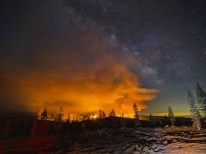 A wildfire glows behind trees in the darkness.