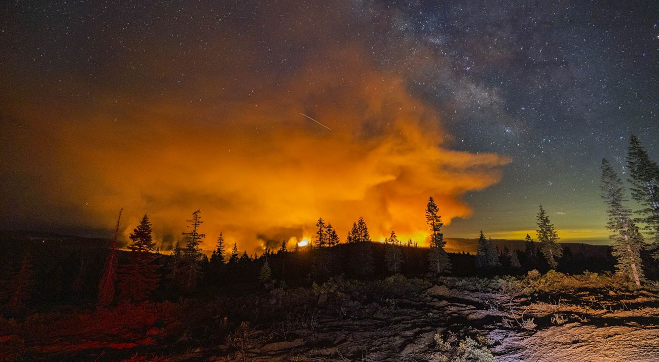 A wildfire glows behind trees in the darkness.