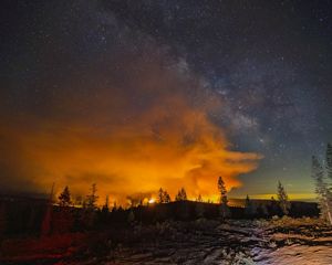A wildfire glows behind trees in the darkness.