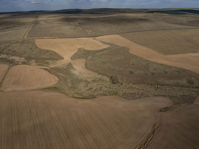 aerial image of brown wheat fields surrounding strips of denser, darker habitats