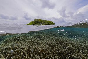 Barrier Reef of Belize
