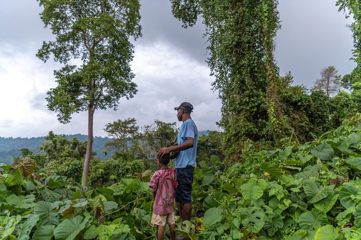 Father and child (Jerry Tome & Martinus Kamit) overlooking forest area uphill Malas Village, Madang Province, Papua New Guinea.