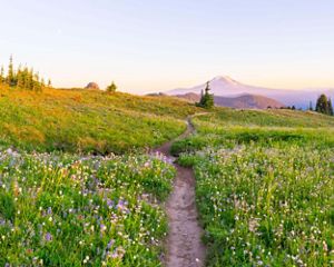 headshot of Stephanie Burkhart.