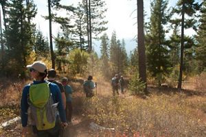 A group of people hiking through a forest.