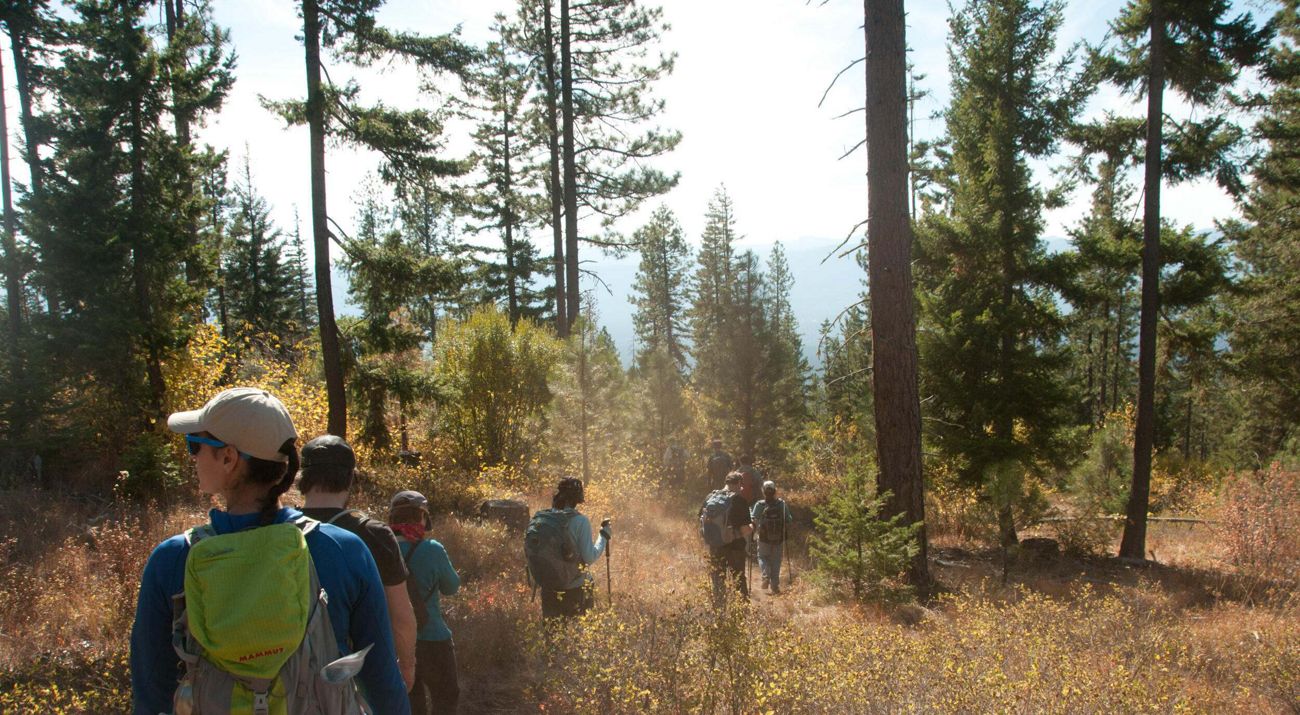 A group of people hiking through a forest.