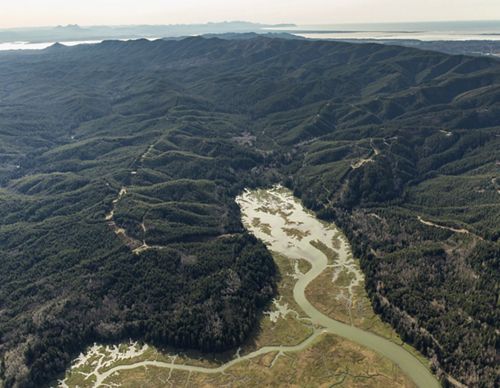 Aerial landscape of the Ellsworth Creek Preserve.
