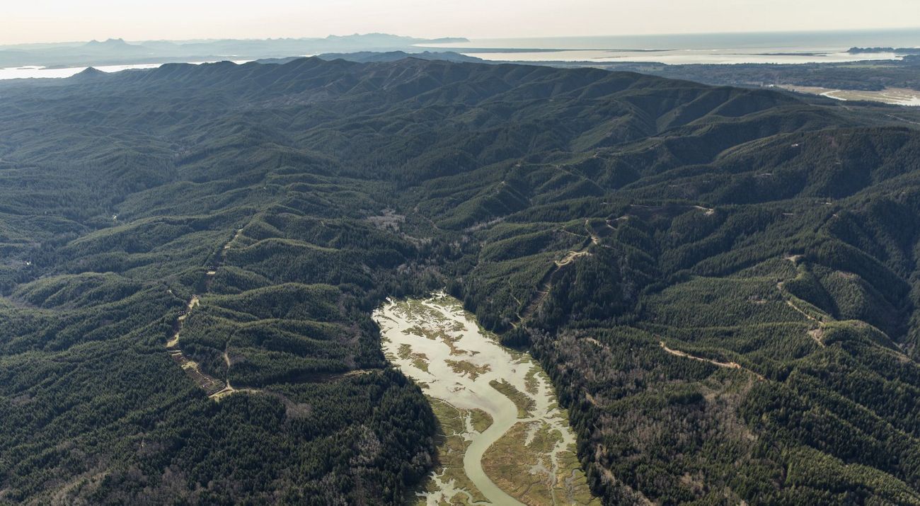 Aerial view of Ellsworth Creek Preserve.