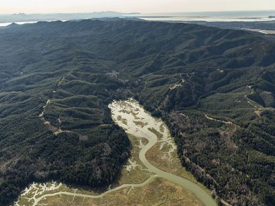 Aerial view of a dense forest with a river running through it.