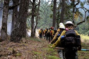 A line of fire workers in their yellow fire gear and tools walk a trail in a forest.