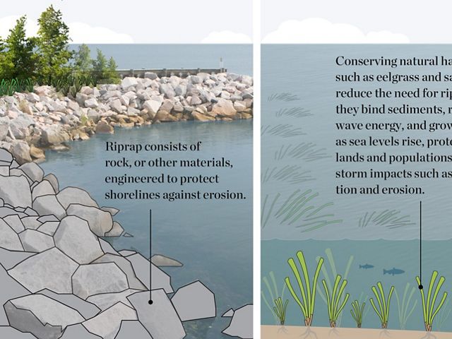 Graphic explaining riprap.